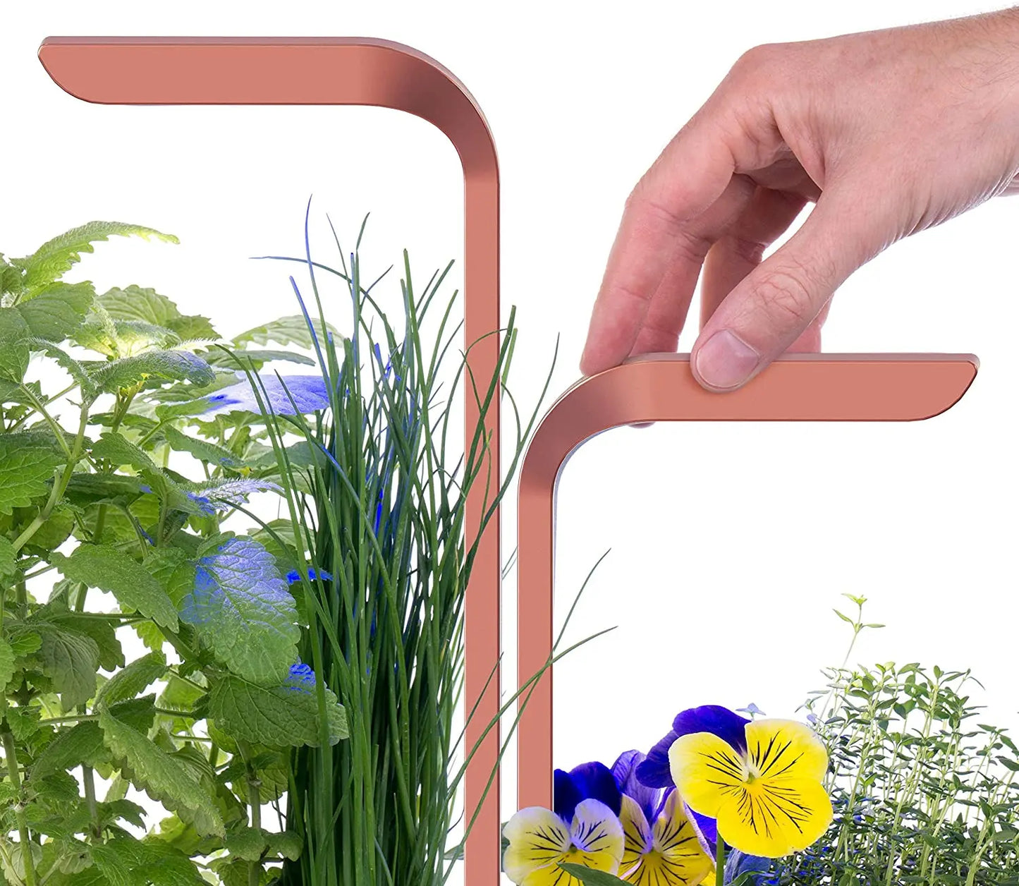 SMART (Copper version) - Potager d’Intérieur Fabriqué en France – Jardin Autonome Intelligent 3760262510057 veritable