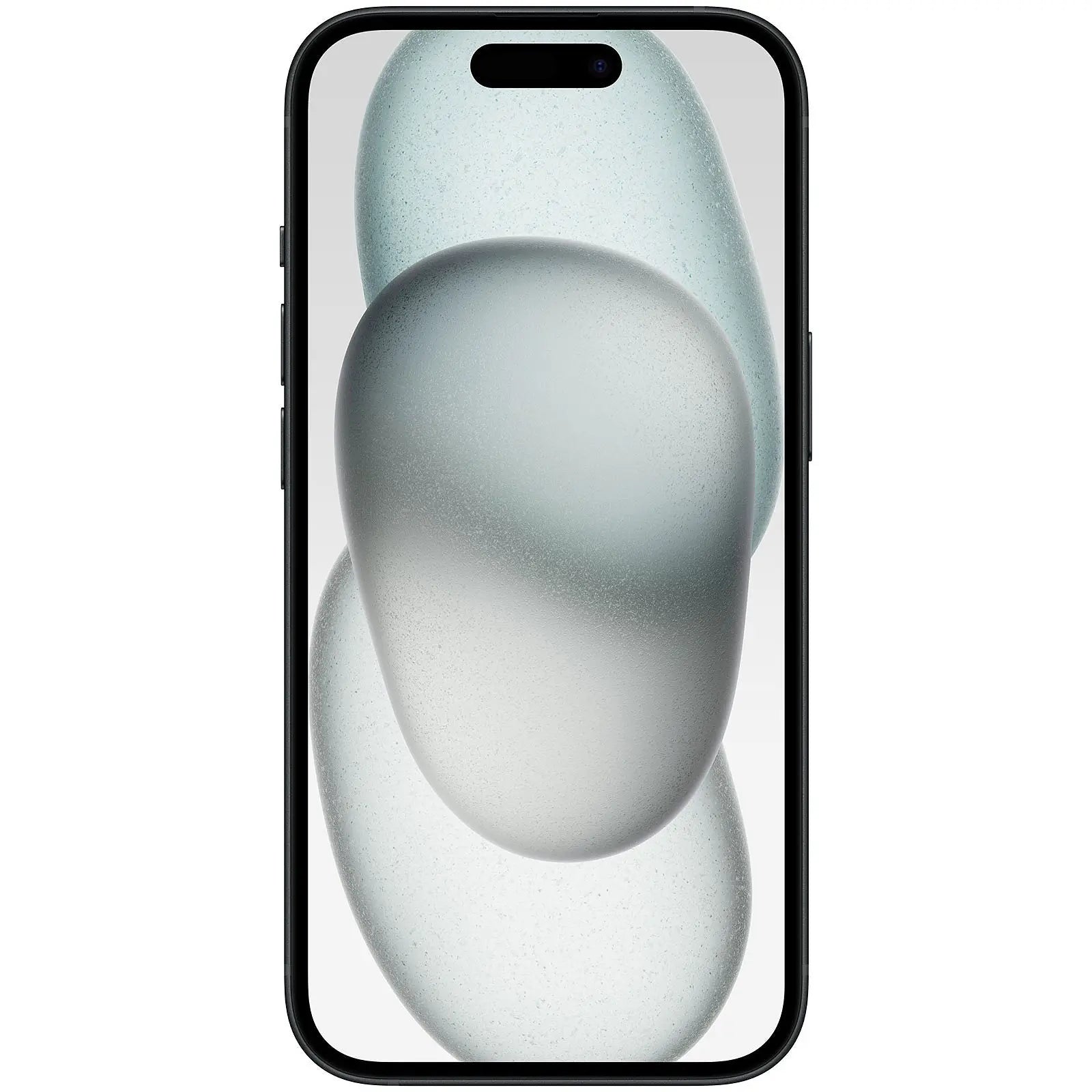 Apple iPhone 15 Plus 512 Go Noir MU1H3ZD/A APPLE