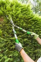 Cisaille acier revêtu antiadhérent GEOLIA TECIN HOLDING