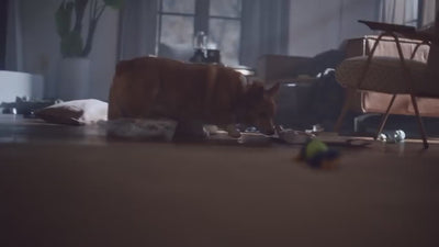 Samsung Galaxy SmartTag Bluetooth Noir